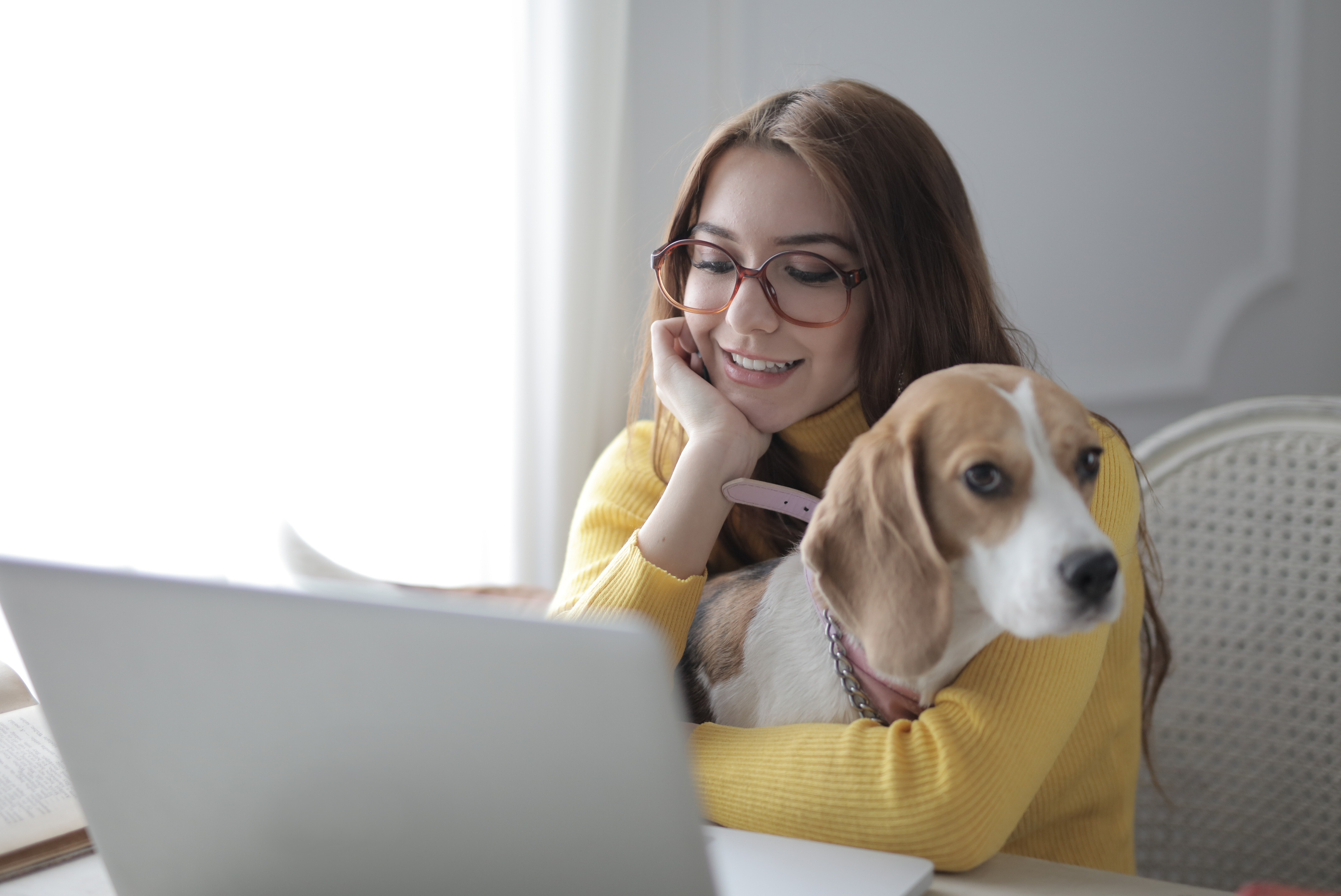 Credit Card Alternatives For Poor Credit Young woman with laptop and dog: are there credit card alternatives for poor credit?